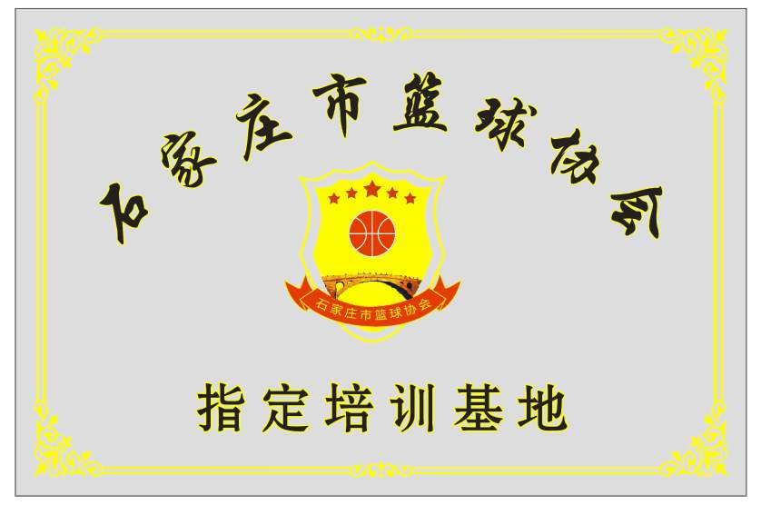 为什么篮球总决赛中的防守策略如此重要_1
